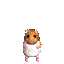 20080811115714-003-1-.gif